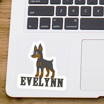 Evelynn Sticker Pinscher Gift package Image