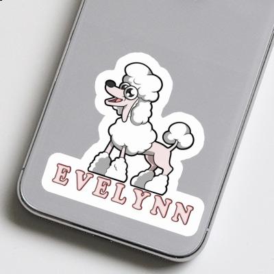 Caniche Autocollant Evelynn Notebook Image