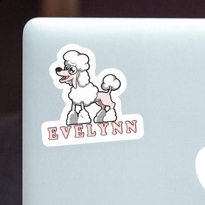 Poodle Sticker Evelynn Laptop Image