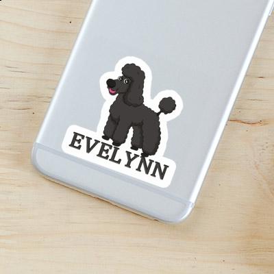 Sticker Evelynn Poodle Gift package Image