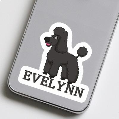 Pudel Aufkleber Evelynn Gift package Image