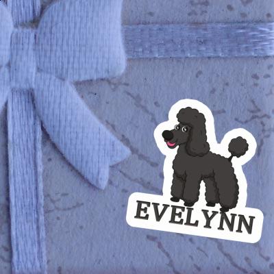 Sticker Evelynn Poodle Notebook Image