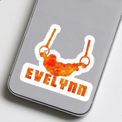 Sticker Evelynn Ringturner Gift package Image