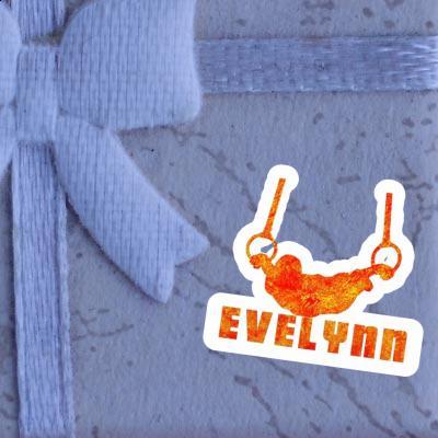 Sticker Evelynn Ringturner Gift package Image