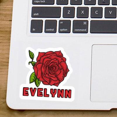 Sticker Evelynn Rose blossom Gift package Image