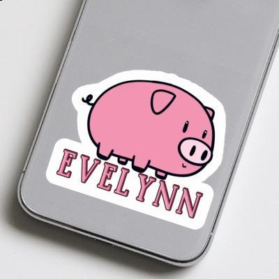 Cochon Autocollant Evelynn Image