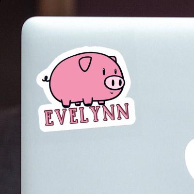 Evelynn Sticker Pig Image