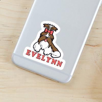 Evelynn Sticker Shih Tzu Laptop Image