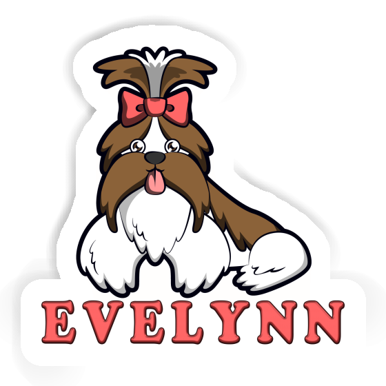 Autocollant Evelynn Shih Tzu Gift package Image