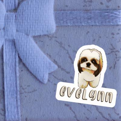 Evelynn Autocollant Shih Tzu Gift package Image