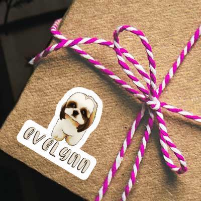 Evelynn Autocollant Shih Tzu Gift package Image