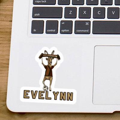 Sticker Capricorn Evelynn Image