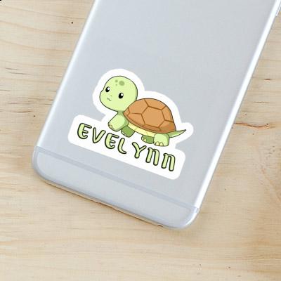 Turtle Sticker Evelynn Notebook Image