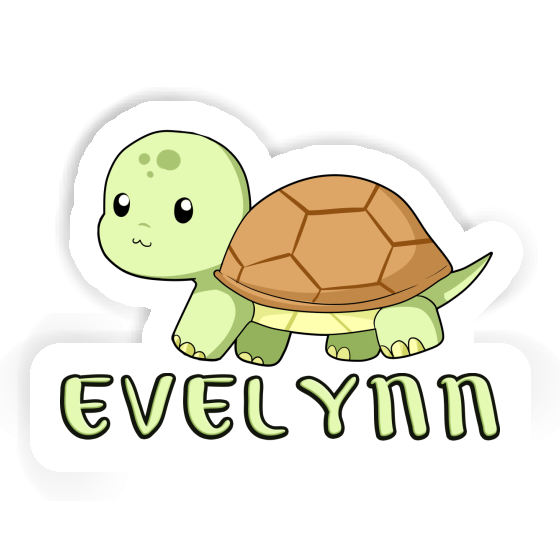 Sticker Evelynn Schildkröte Gift package Image