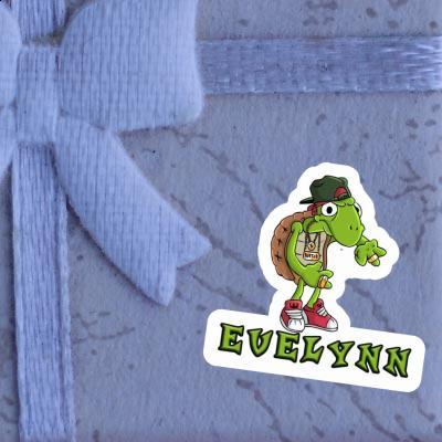 Sticker Evelynn Turtle Gift package Image