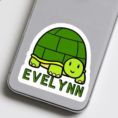 Sticker Evelynn Turtle Notebook Image