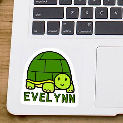 Sticker Evelynn Schildkröte Image