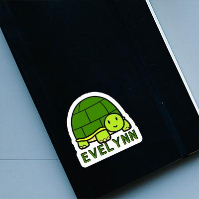 Sticker Evelynn Turtle Image