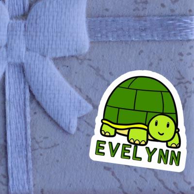 Sticker Evelynn Turtle Laptop Image