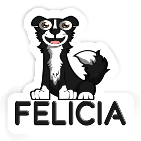 Felicia Autocollant Border Collie Image