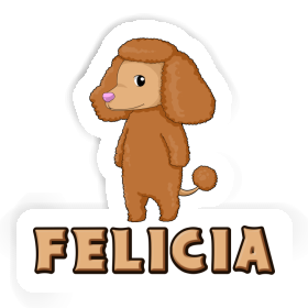 Autocollant Felicia Caniche Image