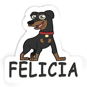 Felicia Autocollant Pinscher Image