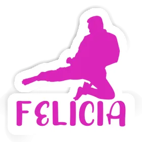 Felicia Sticker Karateka Image