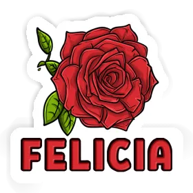 Felicia Autocollant Rose Image