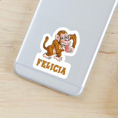 Autocollant Singe Felicia Gift package Image