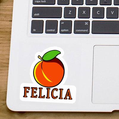 Sticker Felicia Apricot Notebook Sticker Felicia Apricot Gift package Image