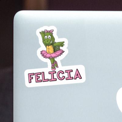 Sticker Turtle Felicia Notebook Sticker Turtle Felicia Gift package Image