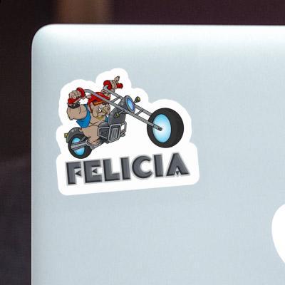 Sticker Felicia Motorbike Rider Notebook Sticker Felicia Motorbike Rider Gift package Image