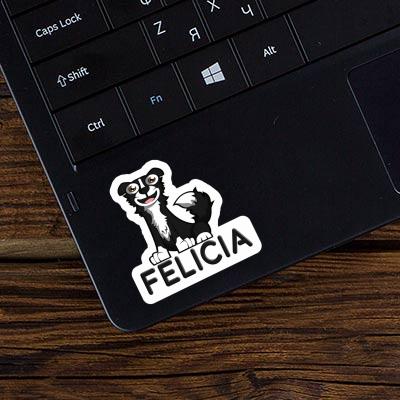 Felicia Autocollant Border Collie Notebook Felicia Autocollant Border Collie Gift package Image