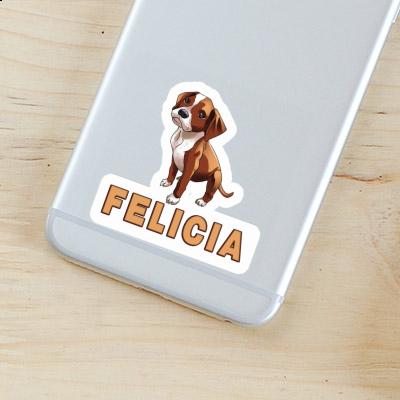 Boxer Autocollant Felicia Notebook Boxer Autocollant Felicia Notebook Image