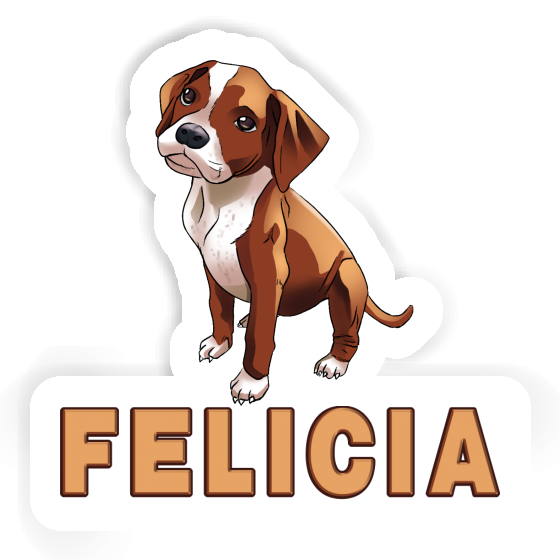 Boxer Autocollant Felicia Notebook Boxer Autocollant Felicia Gift package Image