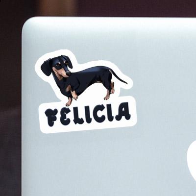 Felicia Autocollant Teckel Notebook Felicia Autocollant Teckel Gift package Image
