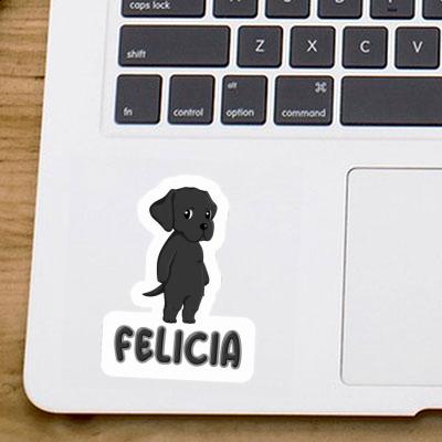 Autocollant Labrador Felicia Notebook Autocollant Labrador Felicia Gift package Image