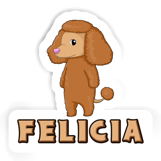 Autocollant Felicia Caniche Notebook Autocollant Felicia Caniche Gift package Image