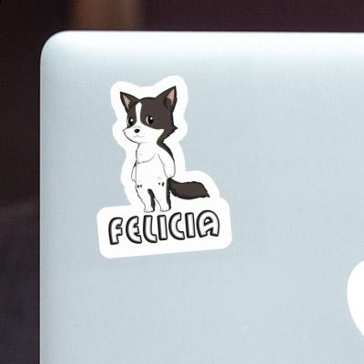 Autocollant Felicia Collie border Laptop Autocollant Felicia Collie border Laptop Image