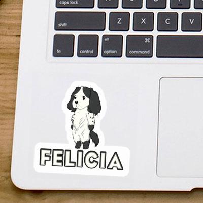 Autocollant Felicia Épagneul Laptop Image