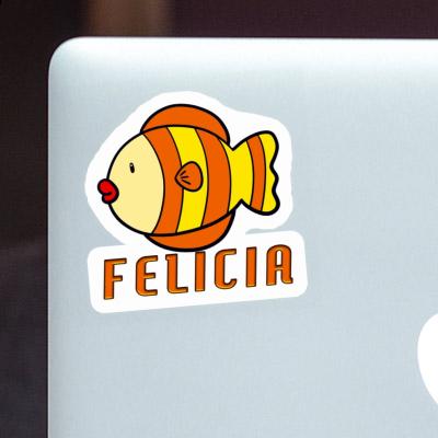 Sticker Felicia Fisch Laptop Image