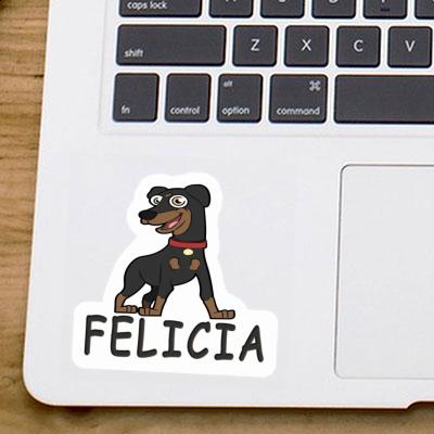 Felicia Sticker German Pinscher Gift package Image