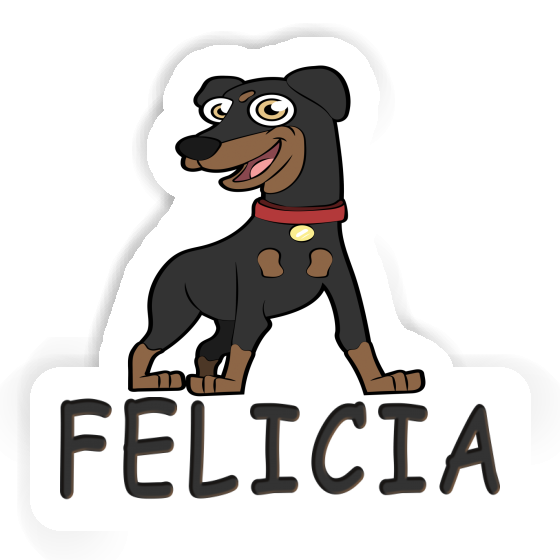 Felicia Autocollant Pinscher Notebook Felicia Autocollant Pinscher Gift package Image