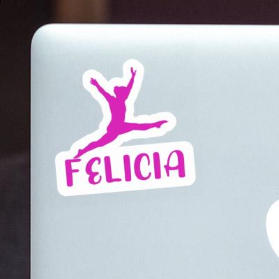Felicia Aufkleber Gymnastin Notebook Felicia Aufkleber Gymnastin Gift package Image