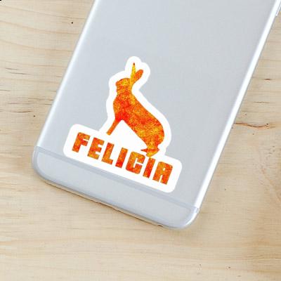 Felicia Aufkleber Kaninchen Notebook Felicia Aufkleber Kaninchen Gift package Image