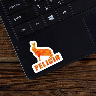 Felicia Autocollant Lapin Notebook Felicia Autocollant Lapin Gift package Image