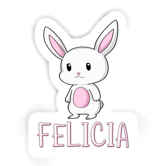 Autocollant Felicia Lapin Gift package Image