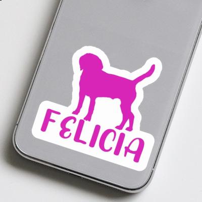 Autocollant Felicia Chien Notebook Autocollant Felicia Chien Gift package Image