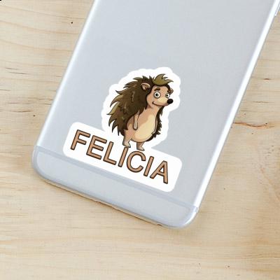 Hedgehog Sticker Felicia Notebook Hedgehog Sticker Felicia Gift package Image