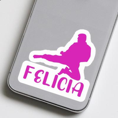 Felicia Sticker Karateka Laptop Felicia Sticker Karateka Laptop Image